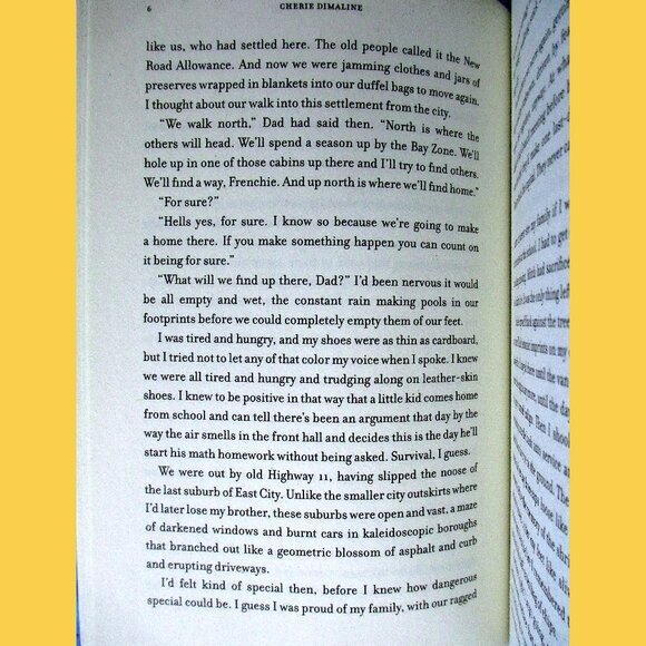 Book: The Marrow Thieves, by Cherie Dimaline (YA Fiction) - Picture 7 of 11